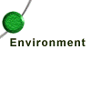 Environment