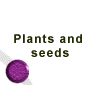 Plants and Seeds